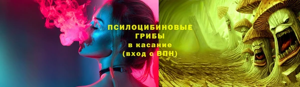 крисы Алексин