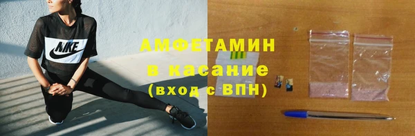крисы Алексин