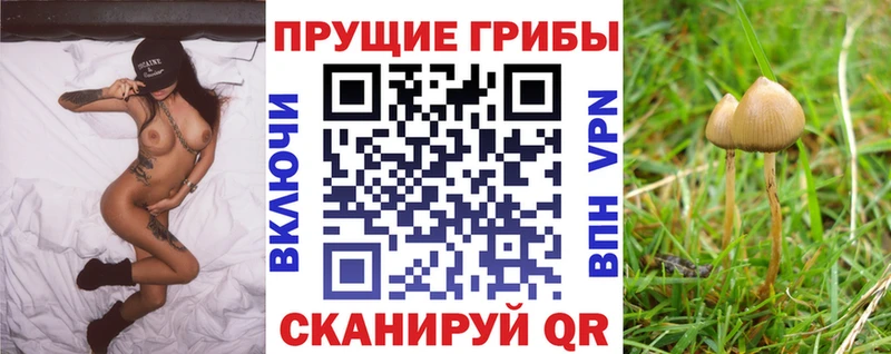 Псилоцибиновые грибы GOLDEN TEACHER  площадка официальный сайт  Цивильск 